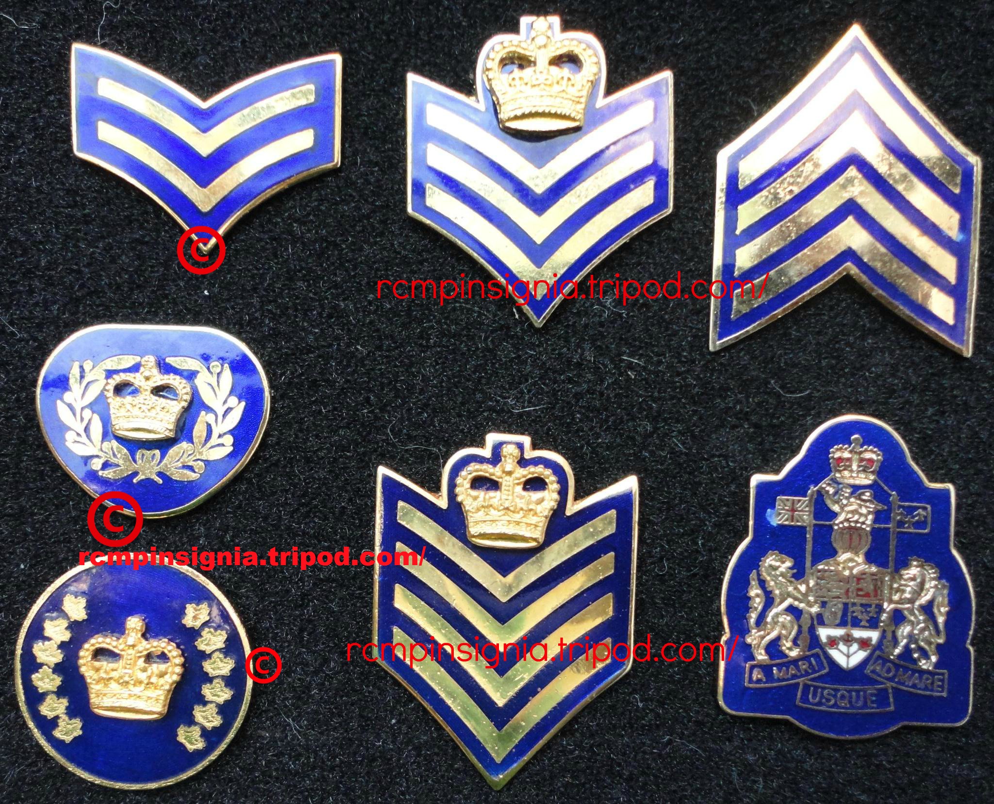 1915901 collar rank pins2.jpg?1392580765